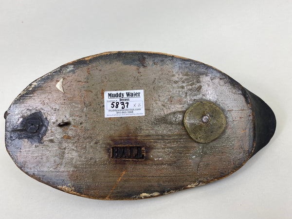 Pair of Hooded Mergansers, St. Clair Flats, Circa 1920's (#5837)