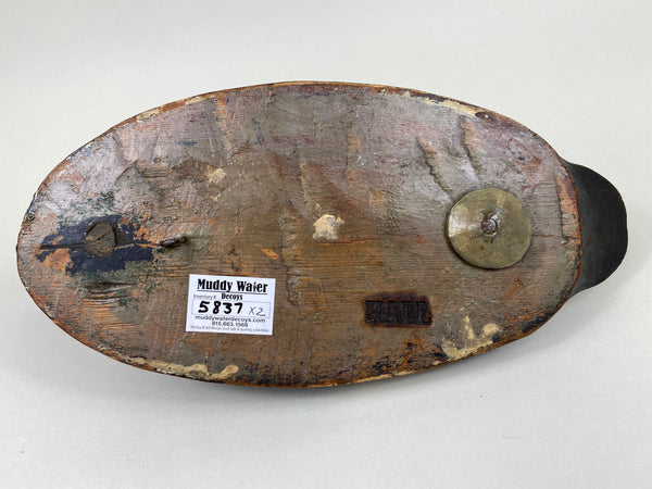 Pair of Hooded Mergansers, St. Clair Flats, Circa 1920's (#5837)