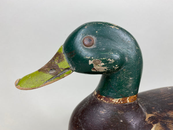 George Kessler Mallard Drake, All Original (#5862)