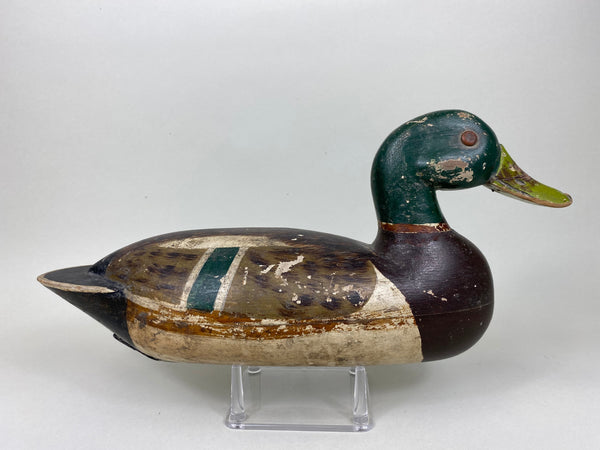 George Kessler Mallard Drake, All Original (#5862)