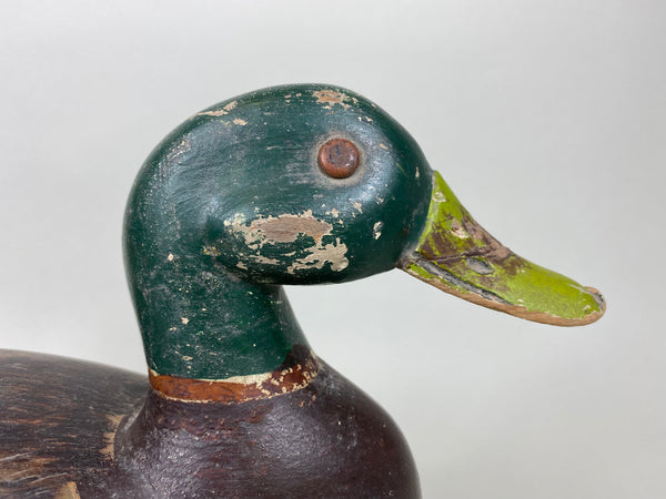 George Kessler Mallard Drake, All Original (#5862)