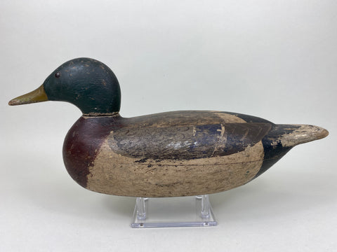 Gisler Weber Mallard Drake (#5868)