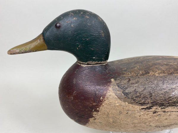 Gisler Weber Mallard Drake (#5868)