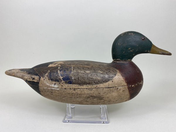 Gisler Weber Mallard Drake (#5868)