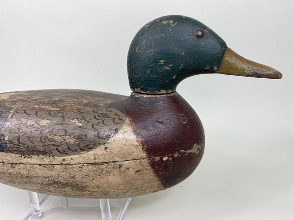 Gisler Weber Mallard Drake (#5868)