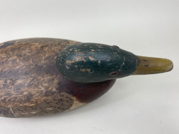 Gisler Weber Mallard Drake (#5868)