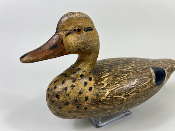 Otto Garren Mallard Hen (#8736)