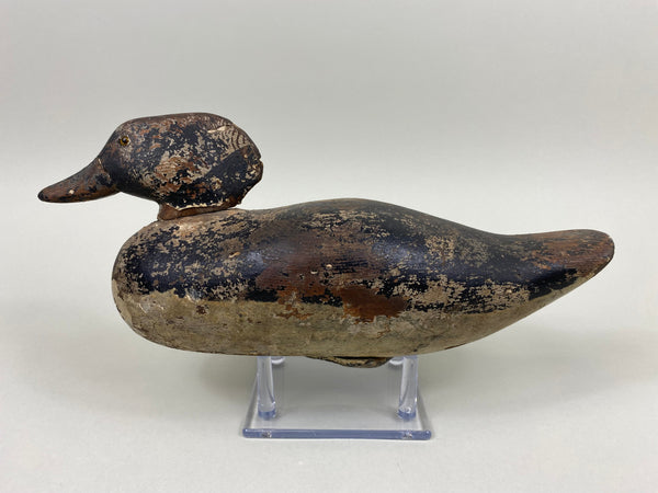 Rare Dodge Factory Hooded Merganser, Circa 1885 (#5902)