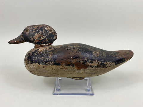 Rare Dodge Factory Hooded Merganser, Circa 1885 (#5902)