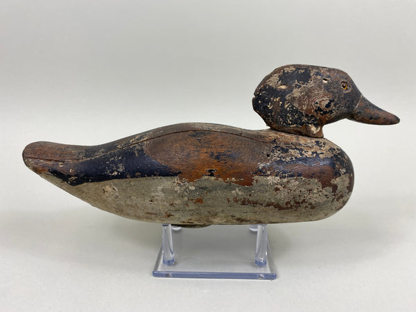 Rare Dodge Factory Hooded Merganser, Circa 1885 (#5902)