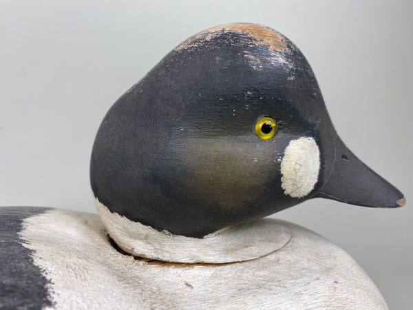 Ken Harris Goldeneye Drake (#5909)