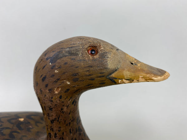 Louisiana Mallard Hen, Original Paint (#5910)