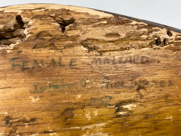 Louisiana Mallard Hen, Original Paint (#5910)