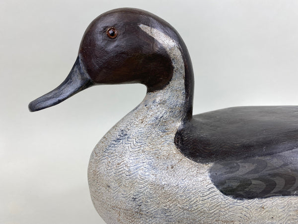 Perdew Style Pintail Drake, Original Paint (#5938)