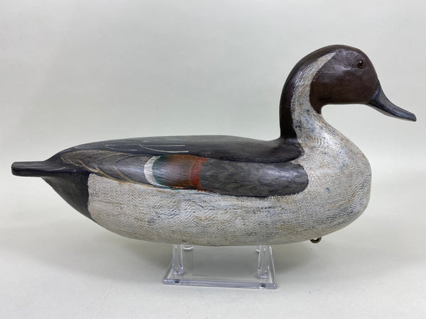 Perdew Style Pintail Drake, Original Paint (#5938)