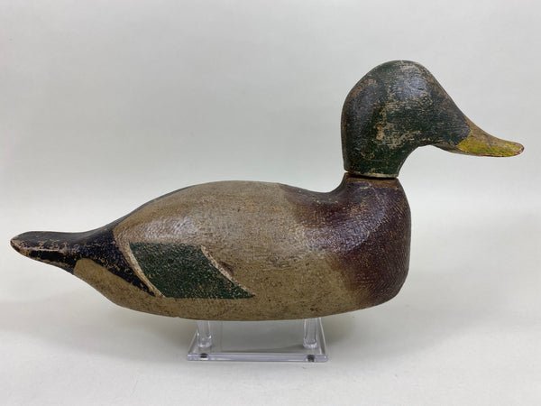 Unknown Minnesota Mallard Drake (#5943)