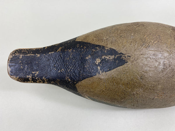 Unknown Minnesota Mallard Drake (#5943)