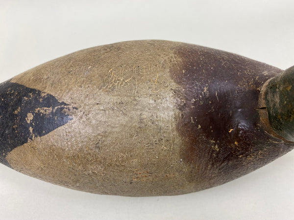 Unknown Minnesota Mallard Drake (#5943)