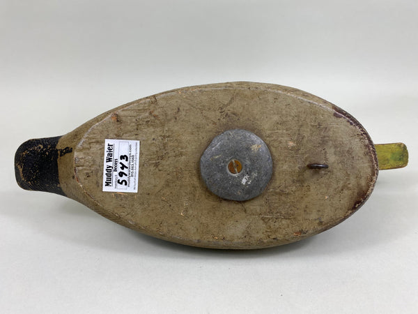 Unknown Minnesota Mallard Drake (#5943)