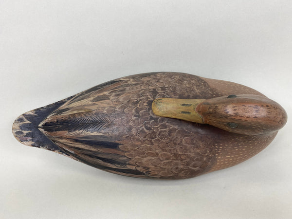 Unknown Mallard Hen Preener (#5965)