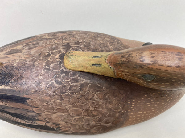 Unknown Mallard Hen Preener (#5965)