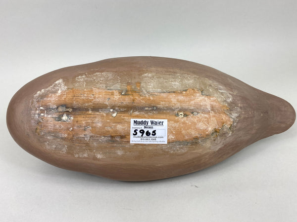 Unknown Mallard Hen Preener (#5965)