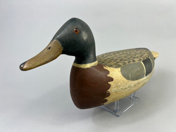 Roy Hancock Mallard Drake (#8485)