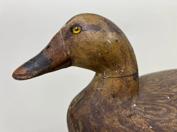 Henry Holmes Mallard Hen, Redshaw Repaint (#5029)