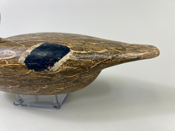 Otto Garren Mallard Hen (#8736)