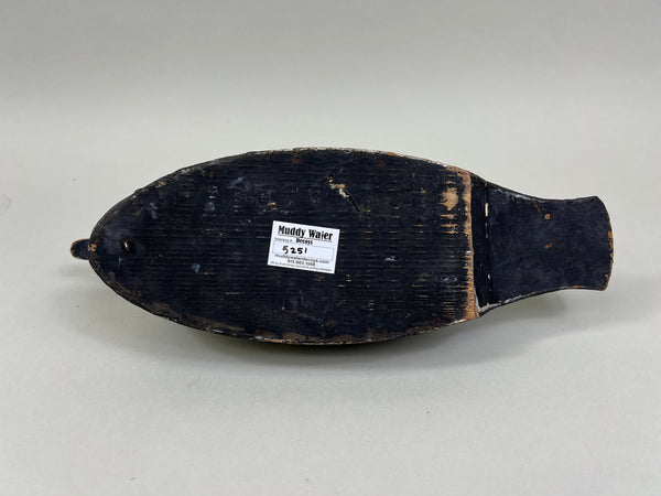 Cape Vincent Golden Eye Drake, Circa 1900 (#5251)