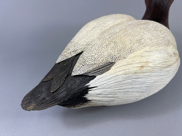 Donna Tonelli Hand Carved Canvasback Drake (#9275)