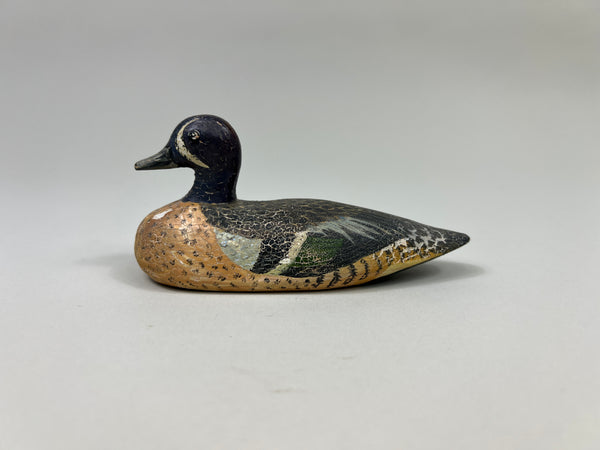 D. Ward Third Size Blue Wing Teal (#2367)