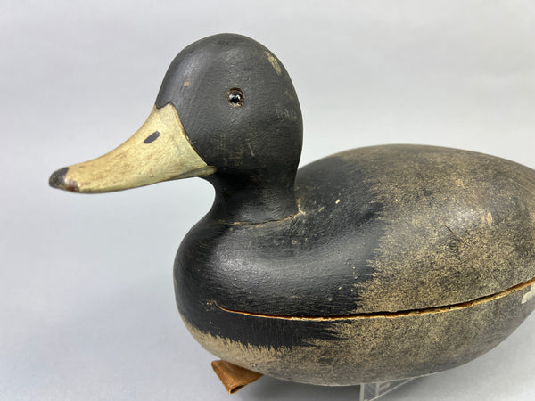 Keyes Chadwick Pair of Bluebills, Original Paint (#4847)