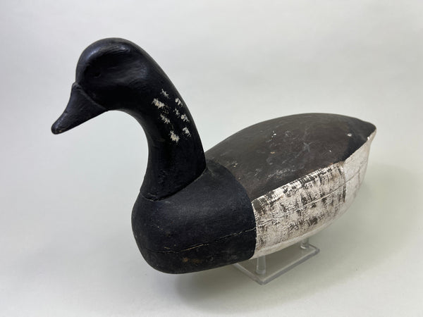 Dipper Ortley Brant, Circa 1950's (#3029)
