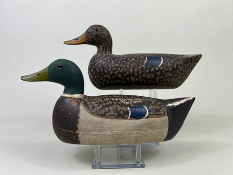 Schoenheider, Jr. 2/3 size Mallards Pair, Circa 1950 (#3856)