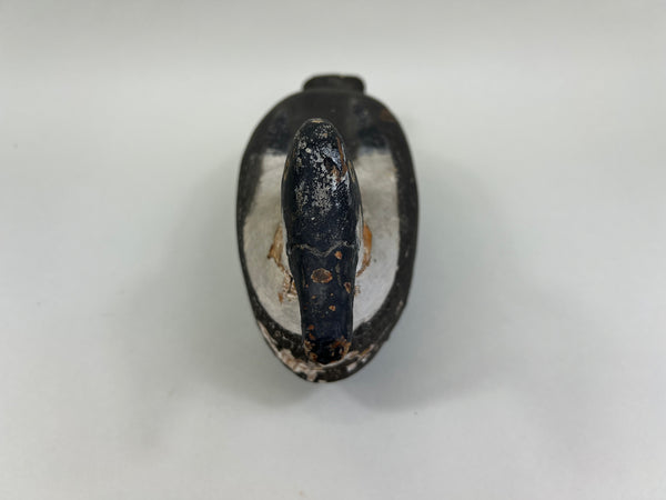 Cape Vincent Golden Eye Drake, Circa 1900 (#5251)