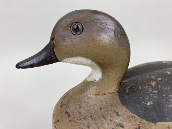 Wildfowler Blue Wing Teal (#6003)