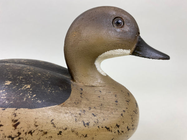 Wildfowler Blue Wing Teal (#6003)