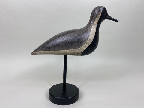 New Jersey Black Bellied Plover (#6019)