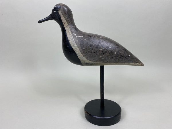 New Jersey Black Bellied Plover (#6019)