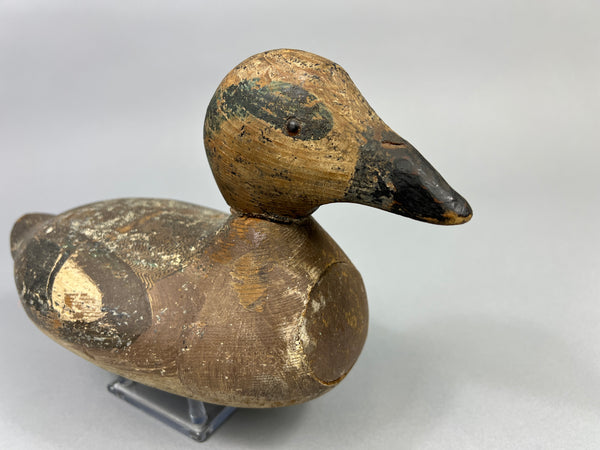 Tule Lake Attributed Wigeon Drake (4894)