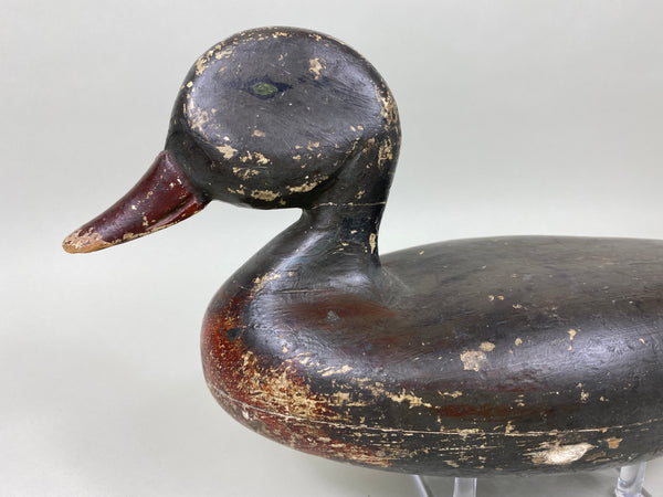 Illinois River Mallard Hen Original Paint (#6037)