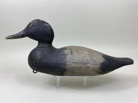 Dodge Bluebill, Wide Spatula Bill (#6040)