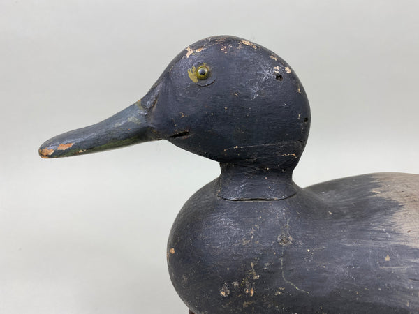 Dodge Bluebill, Wide Spatula Bill (#6040)