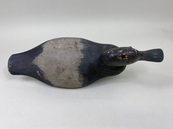 Dodge Bluebill, Wide Spatula Bill (#6040)