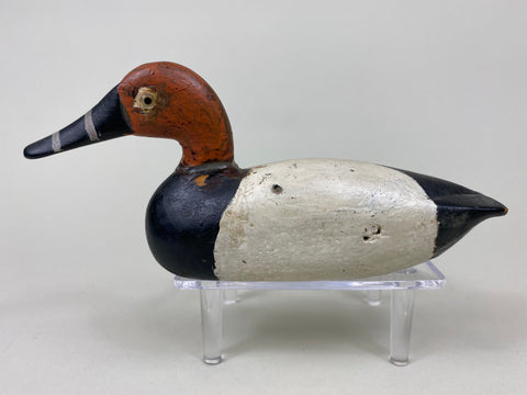 Miniature Illinois River Canvasback Drake (#6077)