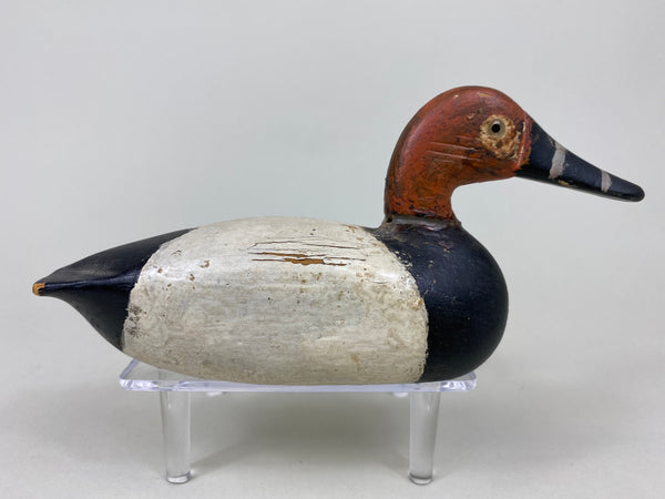 Miniature Illinois River Canvasback Drake (#6077)