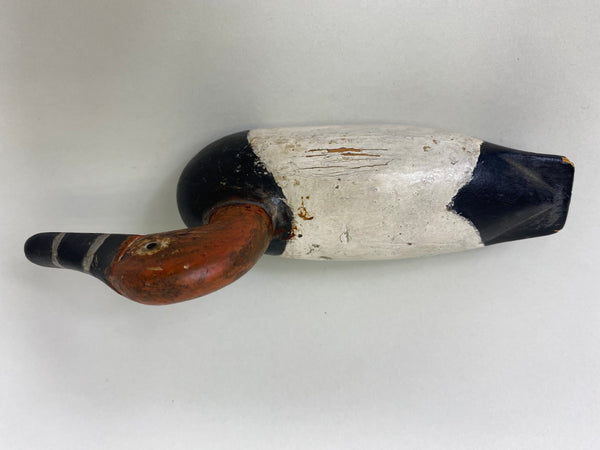 Miniature Illinois River Canvasback Drake (#6077)