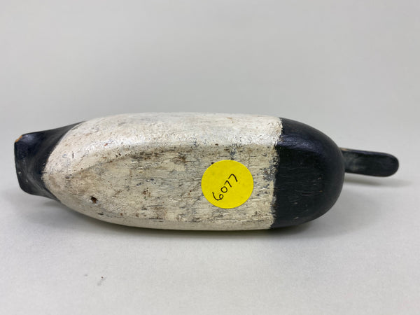 Miniature Illinois River Canvasback Drake (#6077)