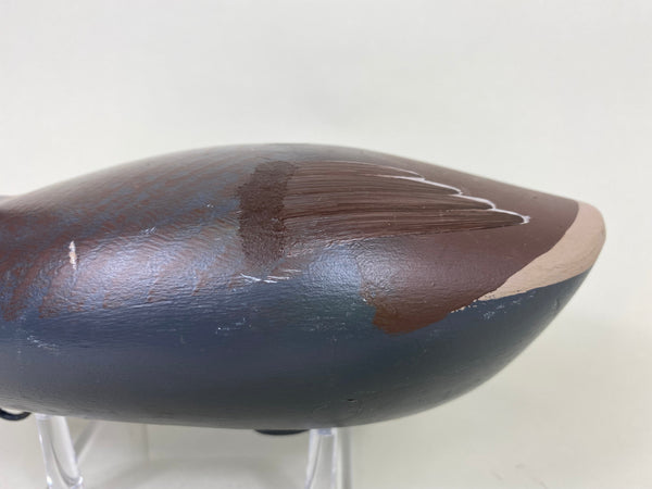 Maryland Coot (#6119)